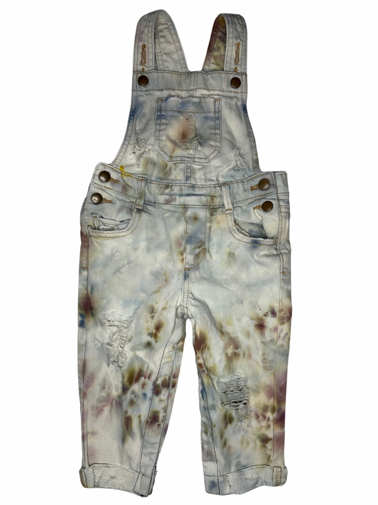 OOAK | Distressed Mushroom Overalls | Size 2T